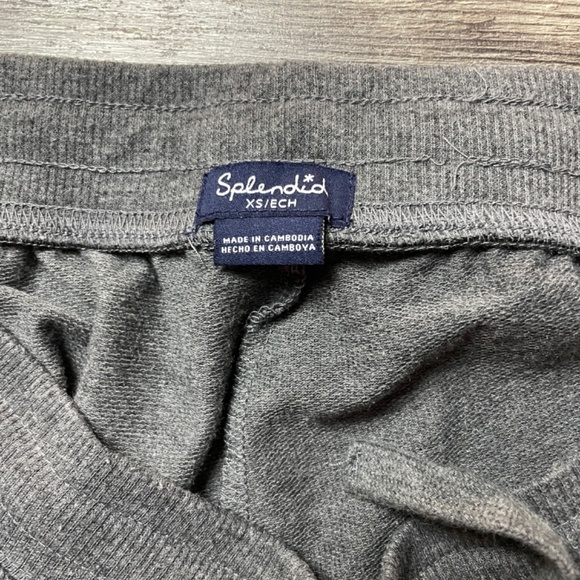 Splendid Side Animal Print Joggers - Picture 2 of 5